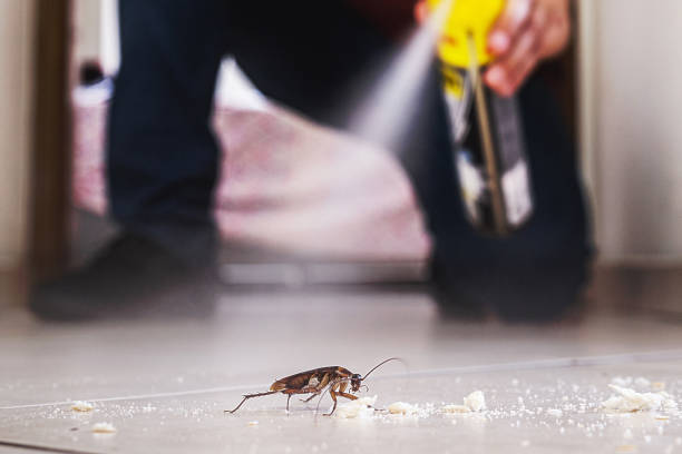 Best Commercial Pest Control Services  in Victorville, CA